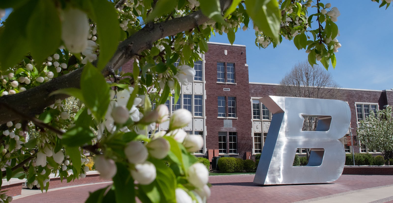 The boise state B statue through spring blooms