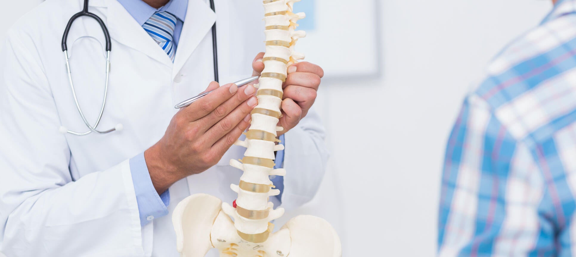 chiropractor and the human spine