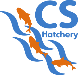CS Professionals Hatchery logo